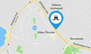 Tehnoülevaatus Tallinnas- Ehitajate tee 116 kaart